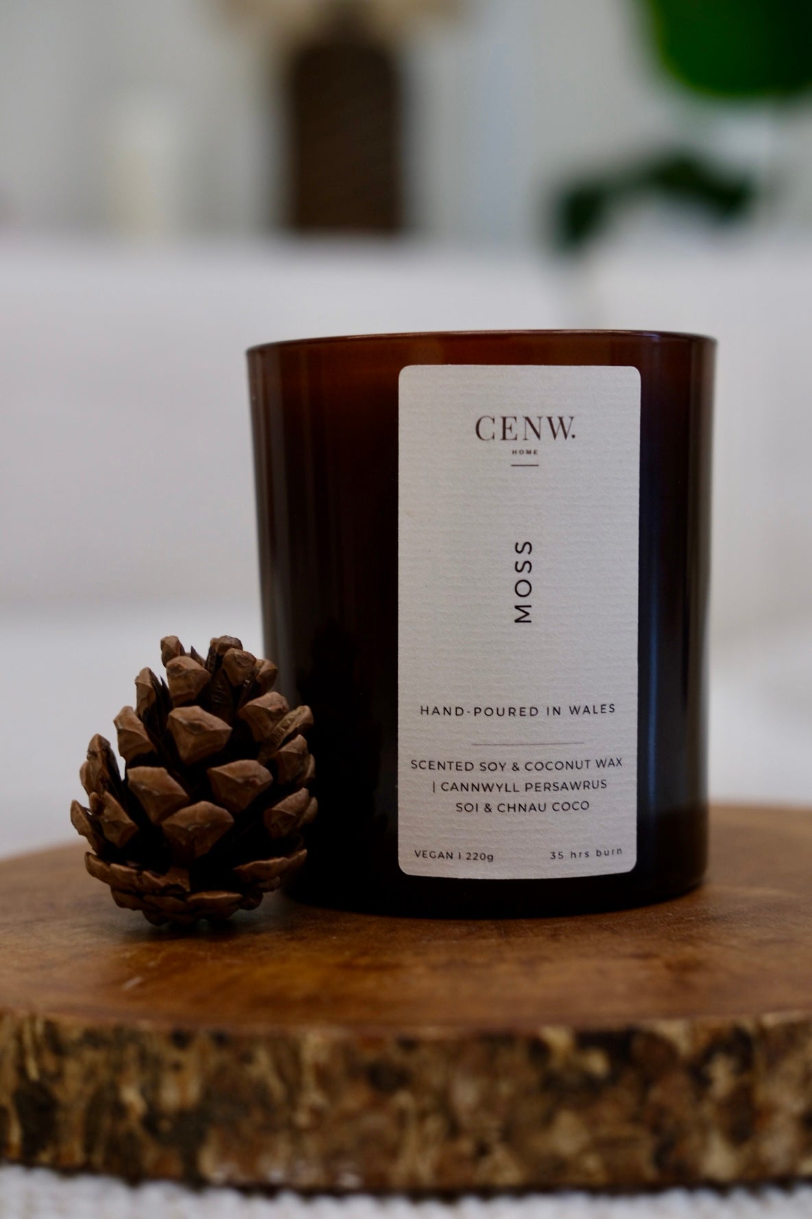 MOSS - Green Leaves, Moss, Sandalwood