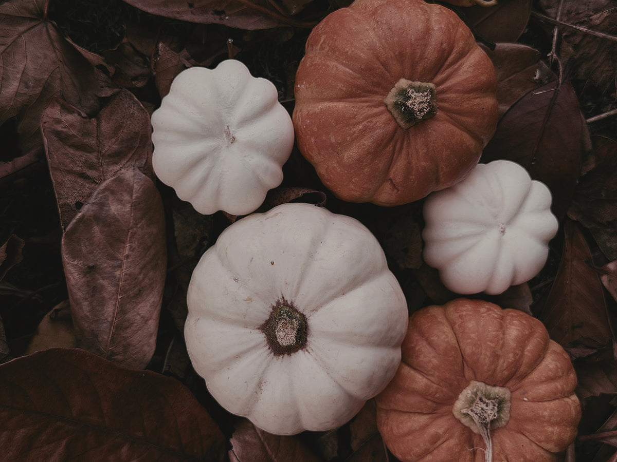 Little pumkins